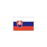 Politika na Slovensku - Máme toho dosť Nahnevaní Slováci